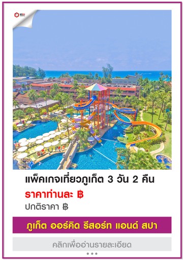 Phuket-Orchid
