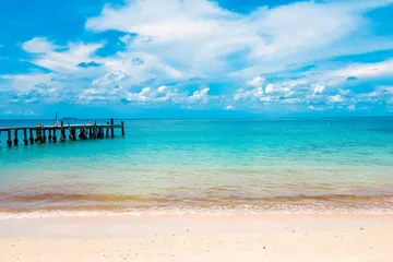 SamedTropical12000001facebookPage-41