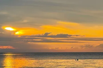 SamedTropical12000002facebookPage-61