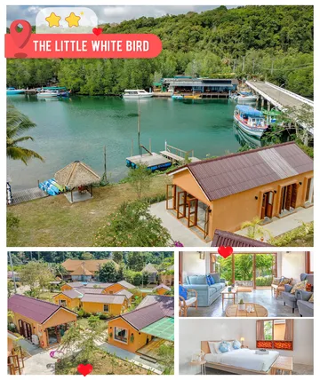 The-Little-White-Bird
