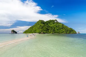 theme-1200x8000001s0014shutterstock240197089
