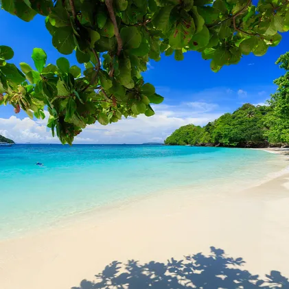 bananabeach-10400000s000114