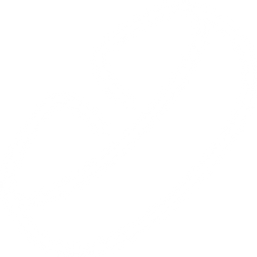 icon2