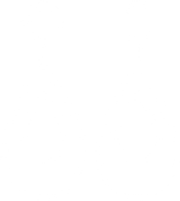 icon5