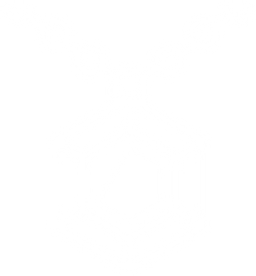 icon7