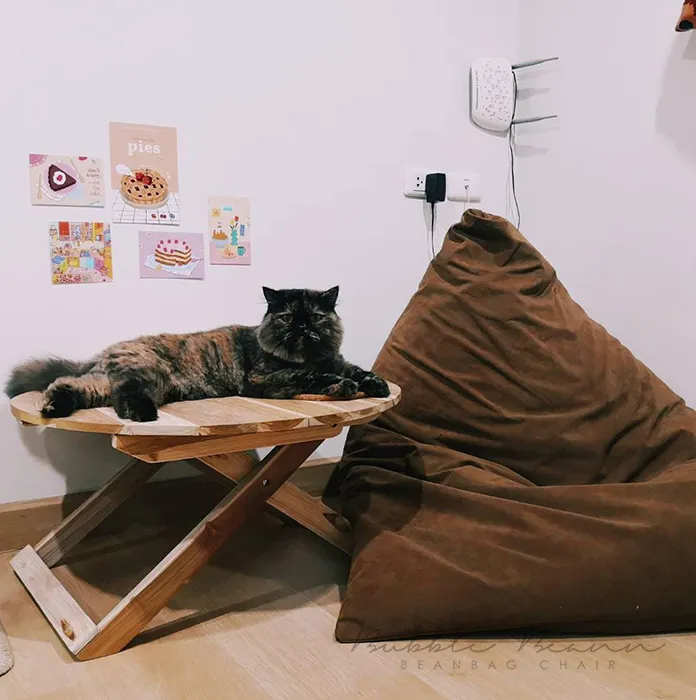 bubblebeann-beanbag-gallery7