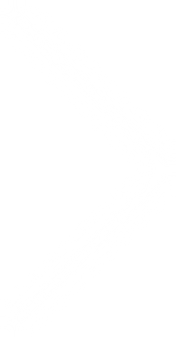 icon1