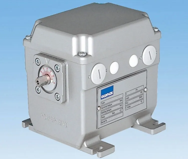 tw-thai-1