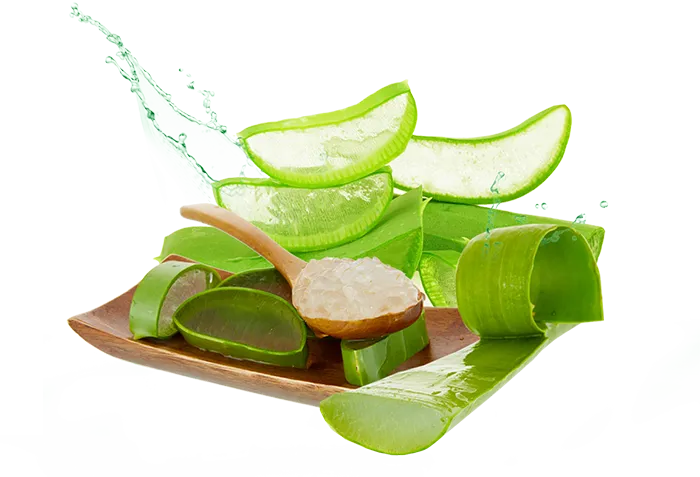 bangkokaloe-p1