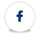 icon-fb2