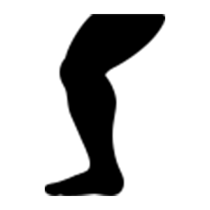 support-muscle