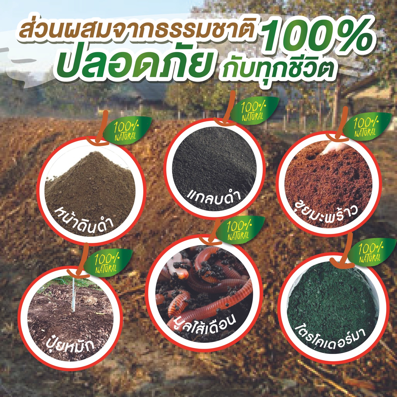 ok02-01-01