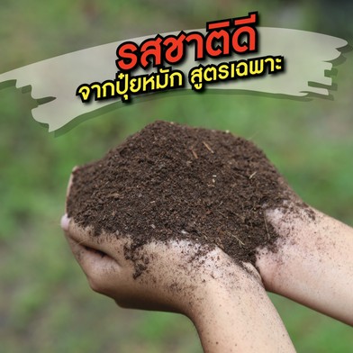 ปุ๋ยหมักพิเศษok01-01