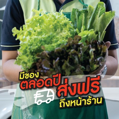 มีของตลอดปีส่งฟรีok01-01