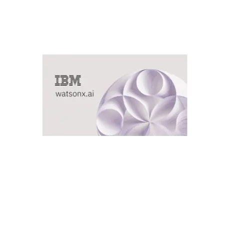 ibm1