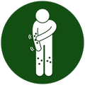 icon-ผื่นคันleomedical