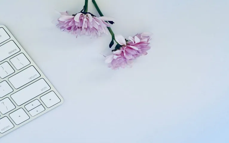 pexels-photo-1119793