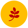 bangkoksauce-icon2