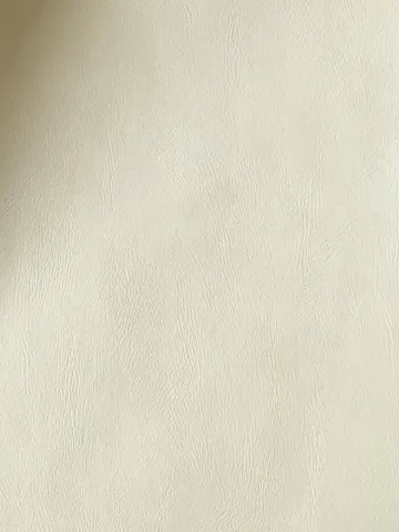 AE9