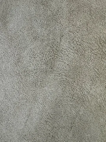 D2