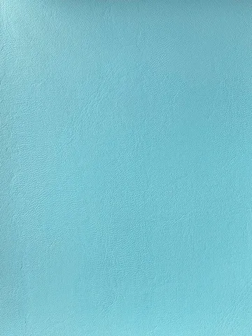 H09911(SkyBlue)