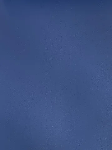 H09912(PrussianBlue)