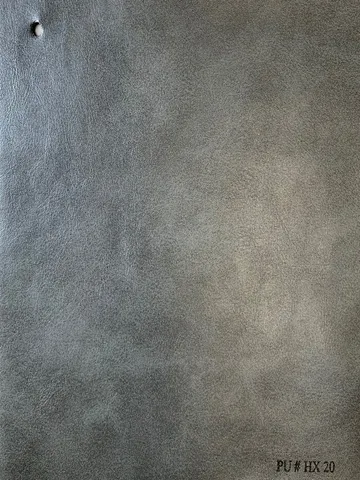 HX20