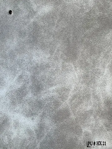 HX21