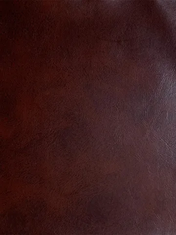 Lee-leather000003141