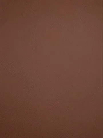 Lee-leather0000leeandson2