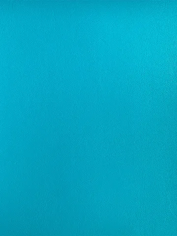 Lee-leather0002H09910(Turquoise)