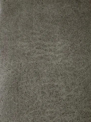 ST13