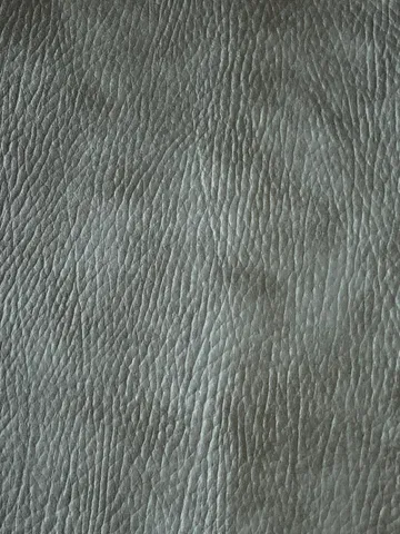 XN801