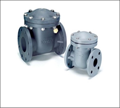 Home [www.pvsvalves.com]