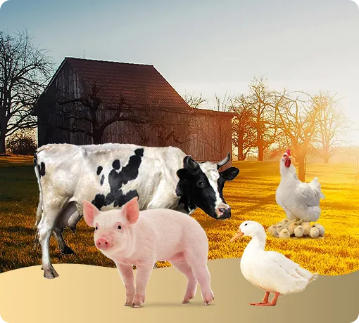yeastmasterfarm2