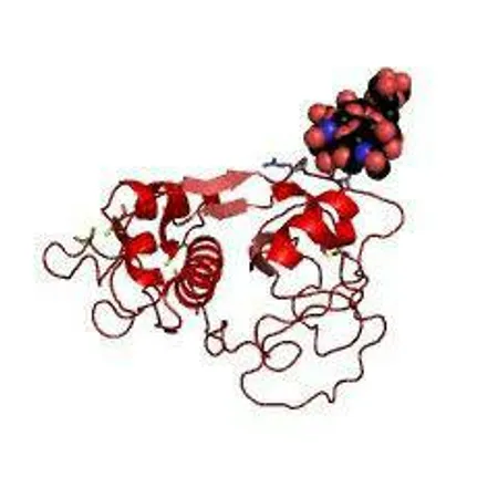 BromelainEnzyme(2)