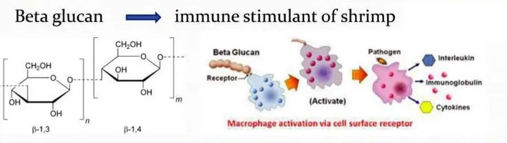 betaGlucan