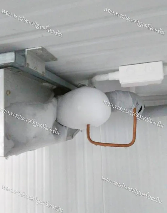pornprasertcooling5