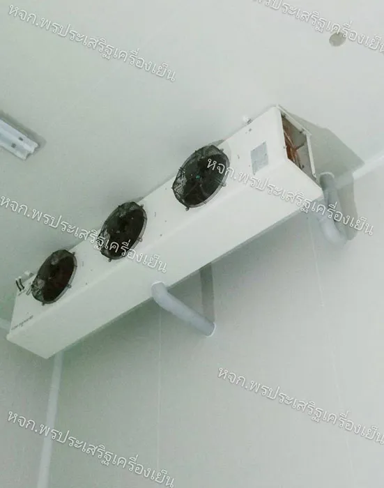 pornprasertcooling6