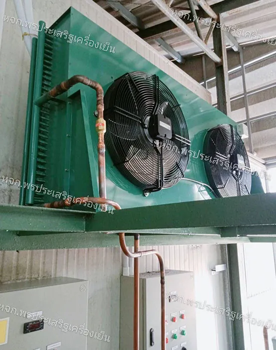 pornprasertcooling6