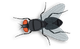 gkpservice-7