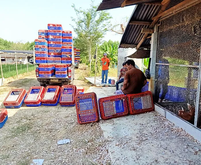 การขนส่งสินค้า-2
