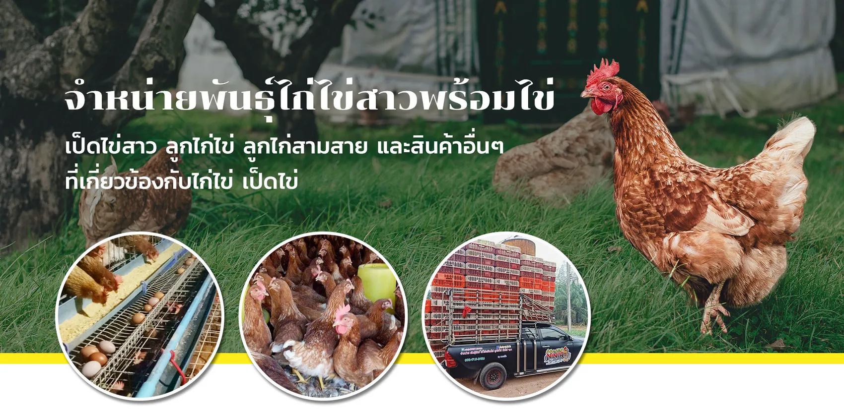 มั่งมีฟาร์ม-banner