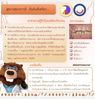 งานWOHD2024-2