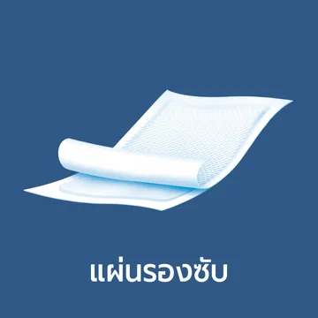 bannerAnoeq-6ปกหมวดหมู่แผ่นรองซับ
