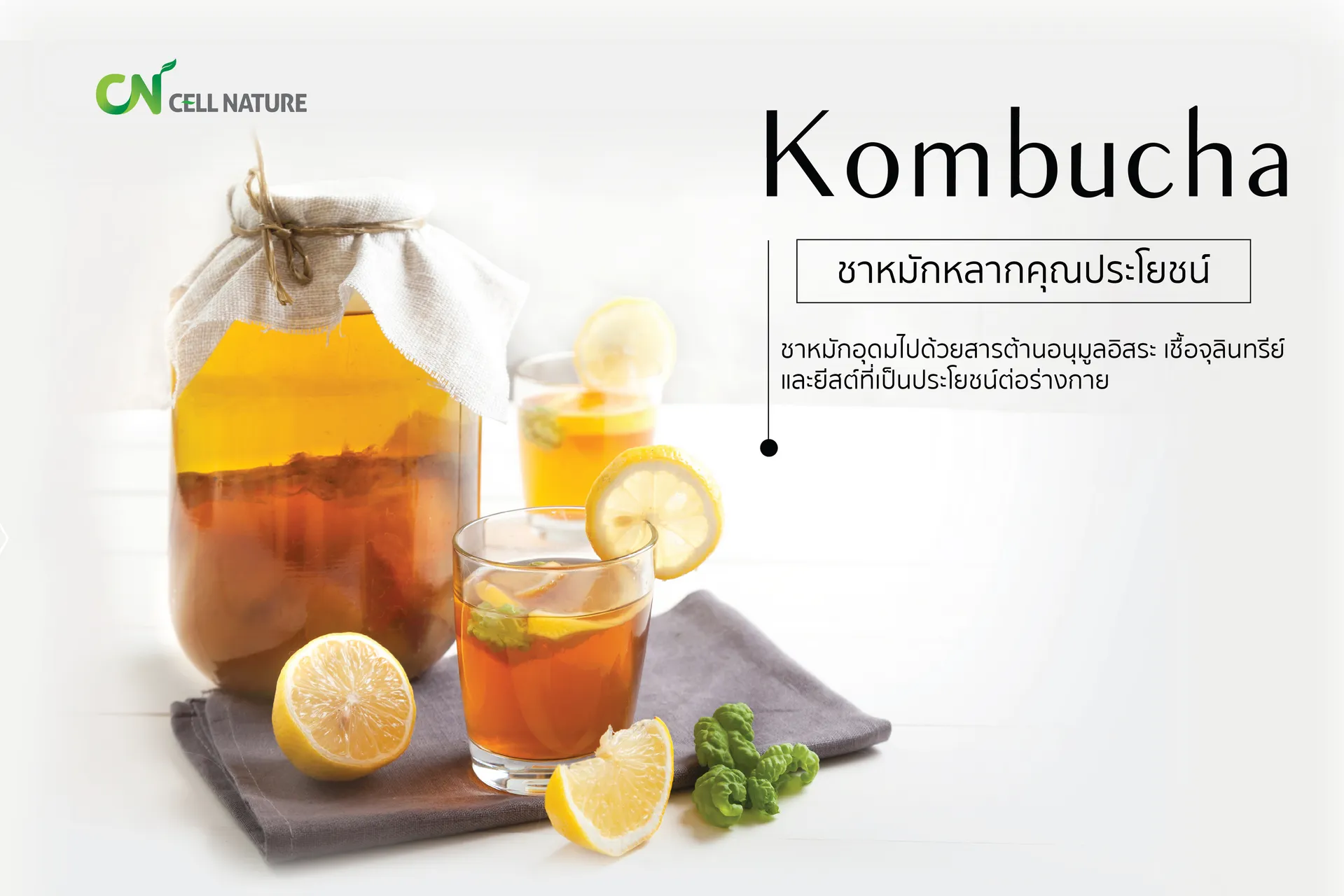 KOMBUCHA