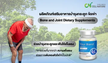 website2