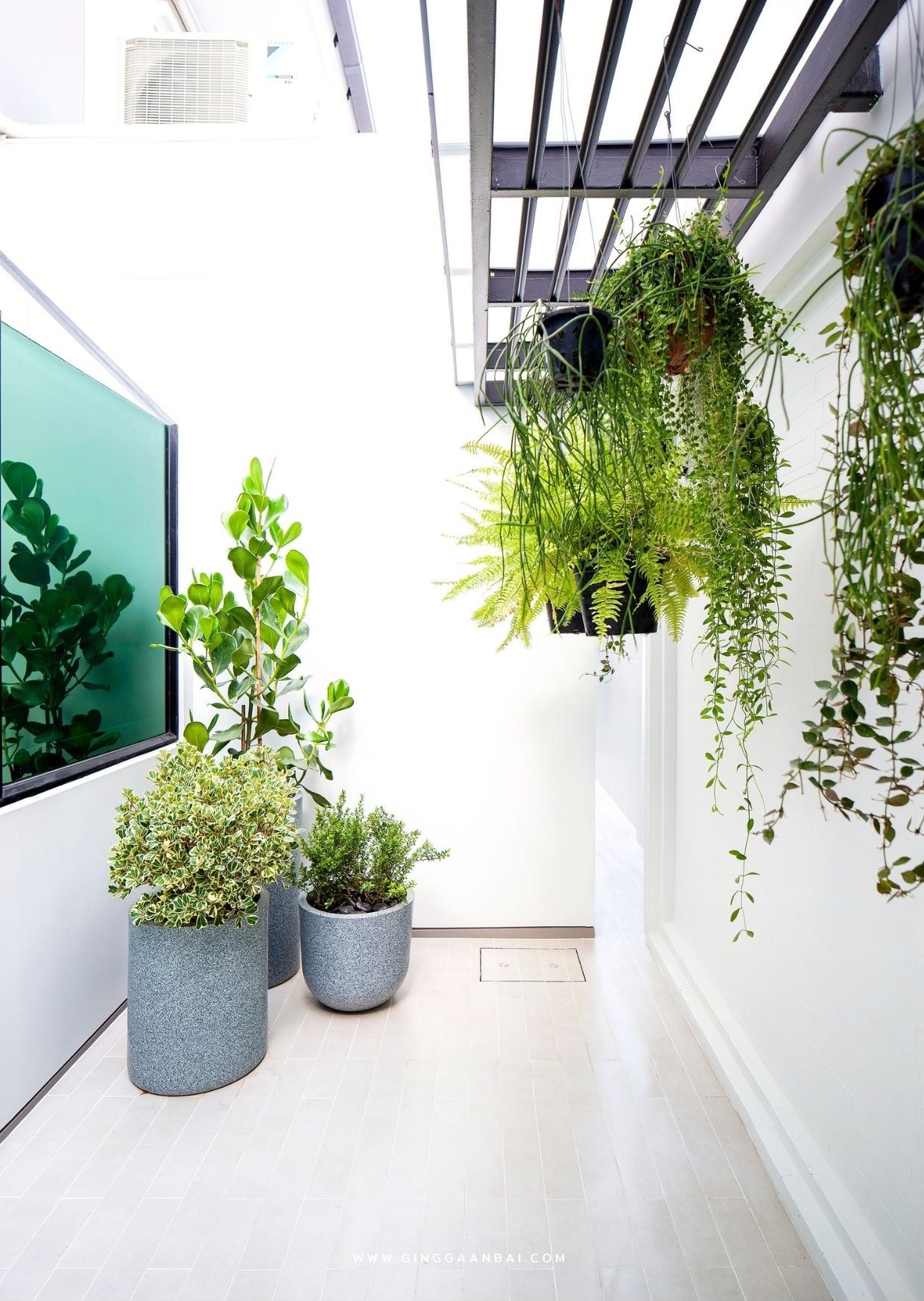 แบบสวน Townhouse/Townhome