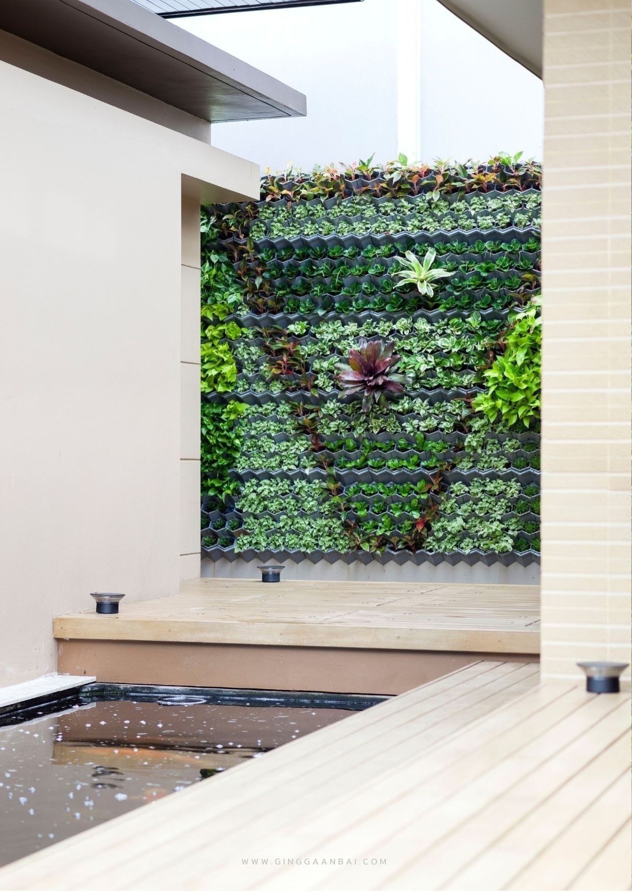แบบสวน Townhouse/Townhome