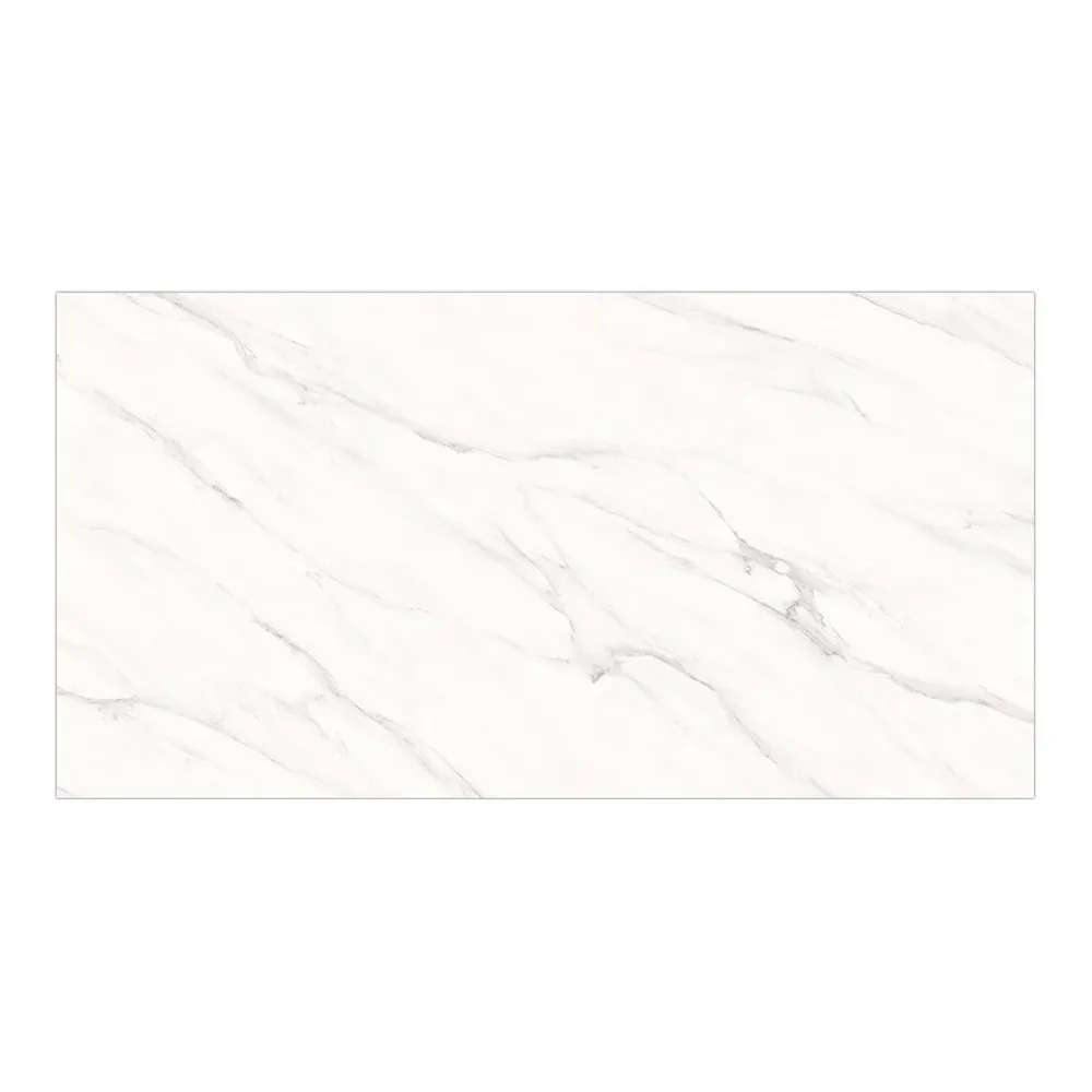 60x120